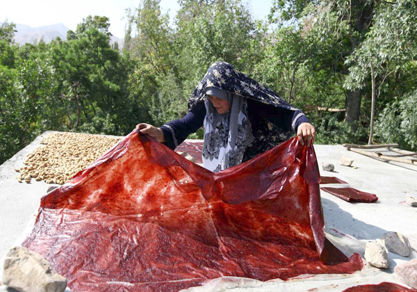 Fa3tFood.Com-lavashak-56