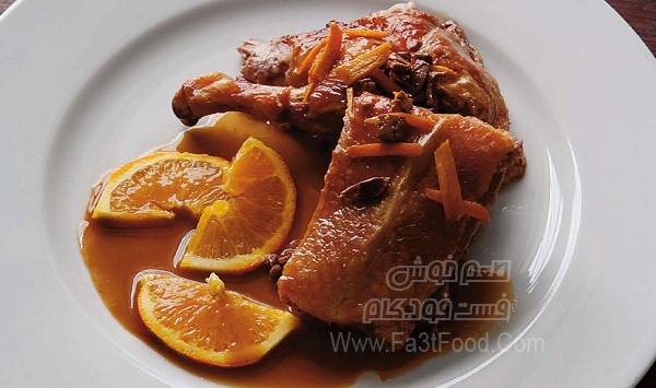 خوراک مرغابی